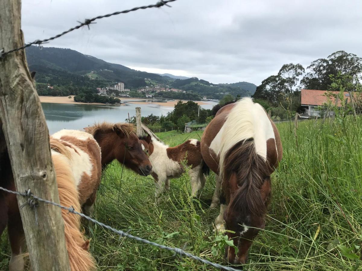 Hemingway Casa Rural Kanala Canala Kültér fotó